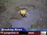 sungerbob