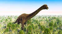 Diplodocus2