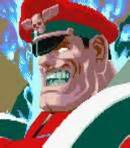M Bison