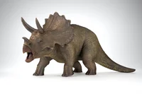 The triceratops 