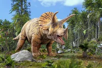 triceratops2