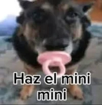 Haz el mini mini