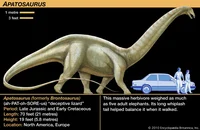 Apatosaurus2
