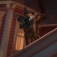 Coraline Cat