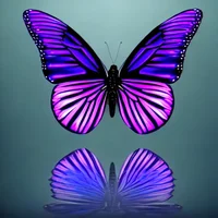 Eddie -aftermath AU-