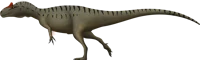 allosaurus fragilis