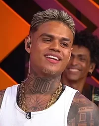 Mc Cabelinho 