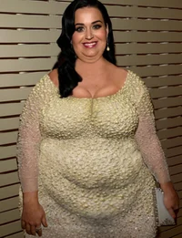 Fat Katy Perry 