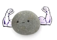 Pet rock
