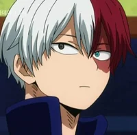 Shoto Todoroki