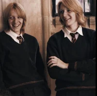 The Weasley Twins