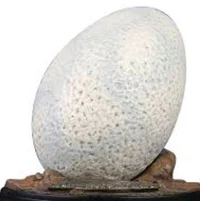 Indoraptor Egg