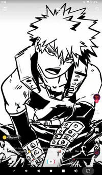 Bakugou katsuki 
