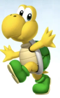 Macro Koopa Troopa