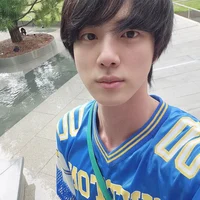 Seokjin 
