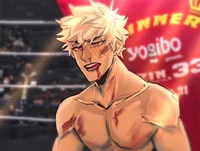 The Boxer Bakugou 
