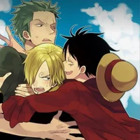 Zoro Luffy and Sanji