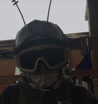 Roach