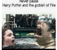 Harry Potter Twitter