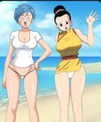 Bulma e chichi praia