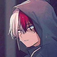 Shoto Todoroki BF