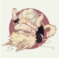 Bakugou gato