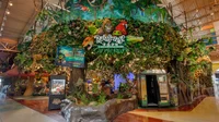 Rainforest Cafe 