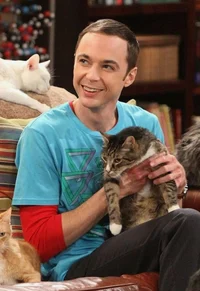 Sheldon Cooper