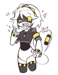 Serial Designation V