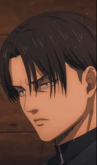 Levi ackerman 