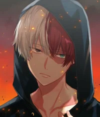 Shoto Todoroki