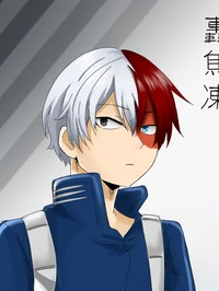 Shoto Todoroki