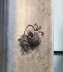 Robot Chicken itsy b