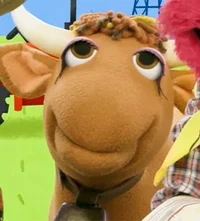 Muppet cow