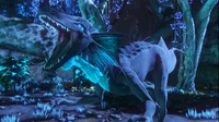 Female galvarex