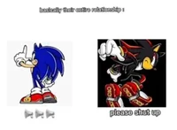 Sonic and shadow