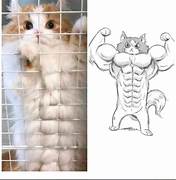 flufftor the swoll