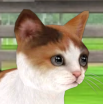A Nintendogs Cat
