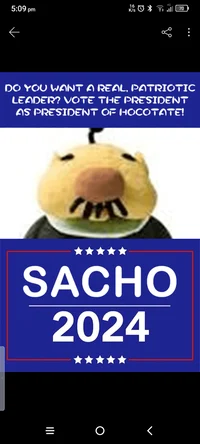 President -pikmin 2-