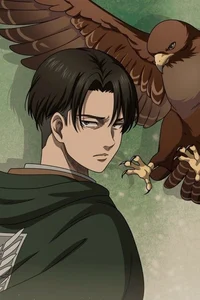 Levi Ackerman