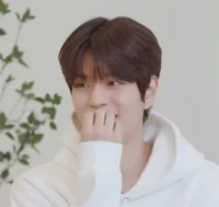 Seungmin
