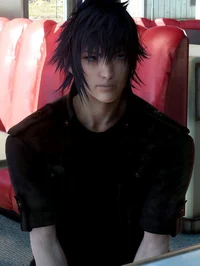 Noctis Lucis Caelum
