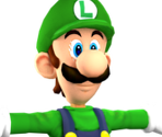 wii luigi