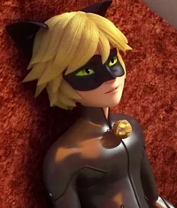 CAT NOIR