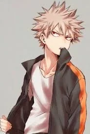 Bakugou Katsuki Br