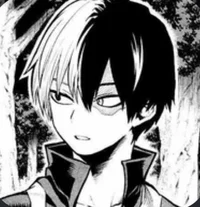 Todoroki