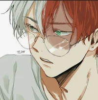Shoto Todoroki 