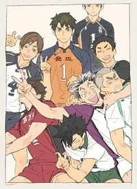 Volleyball made gays