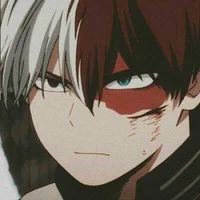 Shoto Todoroki