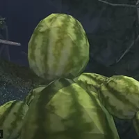 THE WATERMELON MAN